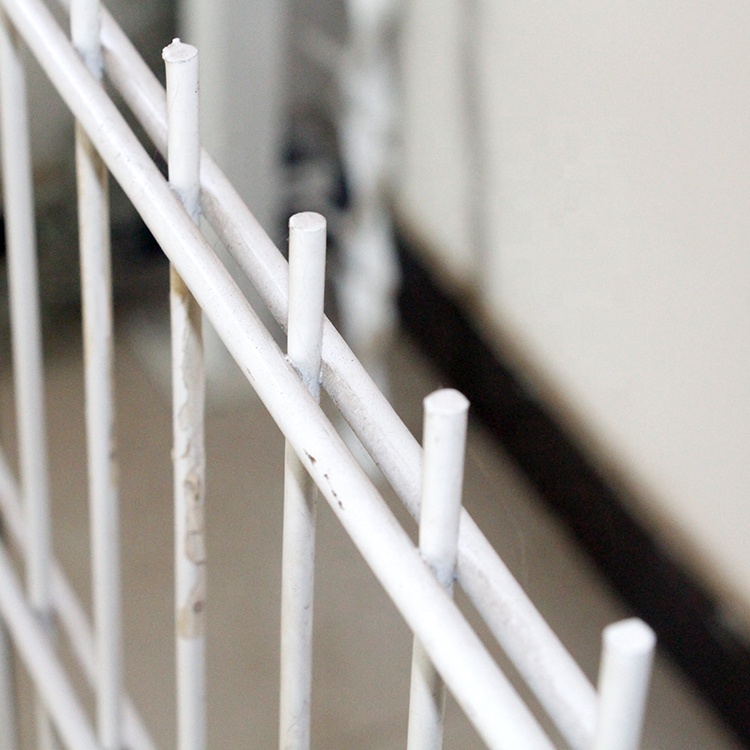 Double Wire Fence